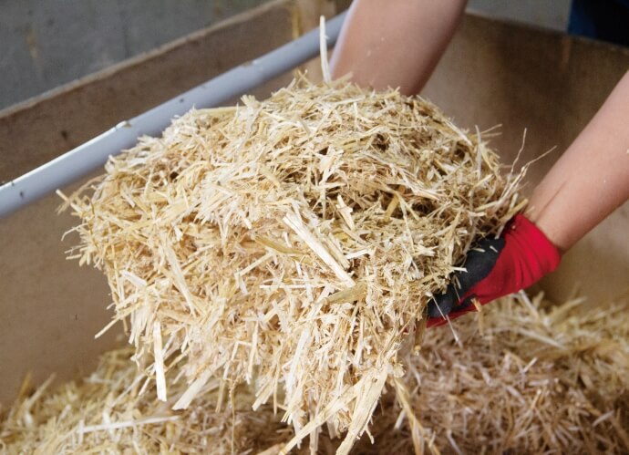 土佐黒牛を育てた「稲わら」